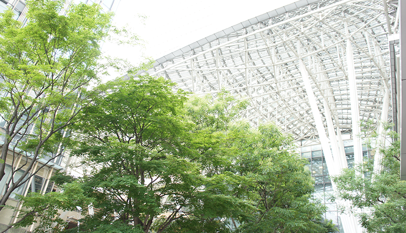 澳门大阳城app官方地址 基板とあわせて2段のスロットを占有するオリジナルクーラーを搭載し